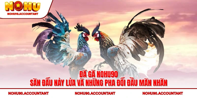 Đá Gà NOHU90 - Sàn Đấu Nảy Lửa Và Những Pha Đối Đầu Mãn Nhãn