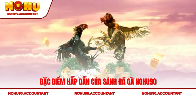 Đặc điểm hấp dẫn của sảnh đá gà NOHU90