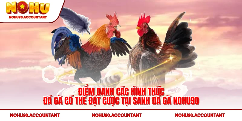 Điểm danh các hình thức đá gà có thể đặt cược tại sảnh NOHU90