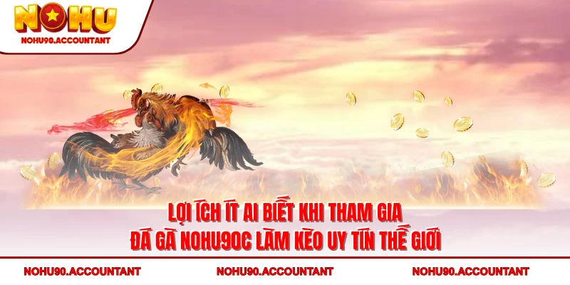 Lợi ích ít ai biết khi tham gia đá gà NOHU90