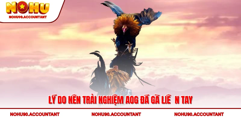 Lý do nên trải nghiệm AOG đá gà liền tay