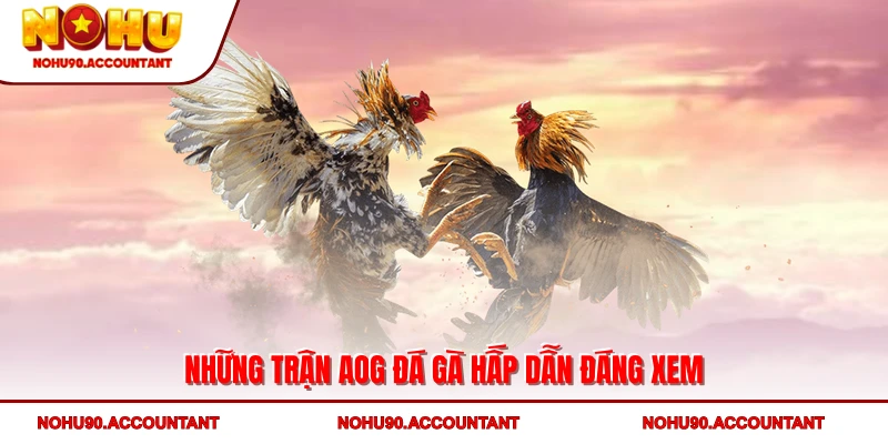 Những trận AOG đá gà hấp dẫn đáng xem