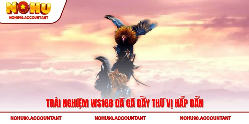 Trải nghiệm WS168 đá gà đầy thú vị hấp dẫn