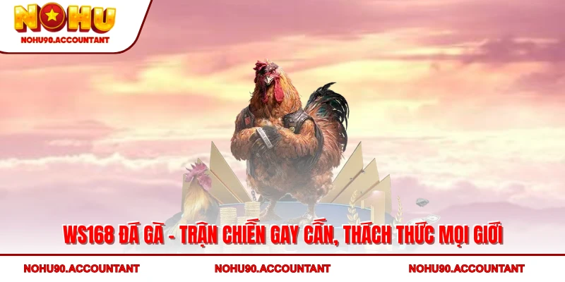 WS168 Đá Gà - Trận Chiến Gay Cấn, Thách Thức Mọi Giới